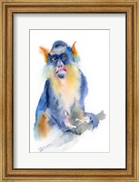 Framed Blue Monkey