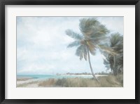 Framed Palm Harbor