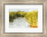 Framed Marshy Wetlands No. 2