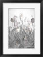 Tulips I Framed Print