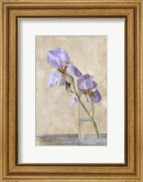 Framed Blue Iris Stem