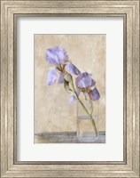 Framed Blue Iris Stem