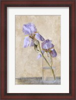 Framed Blue Iris Stem