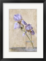 Framed Blue Iris Stem