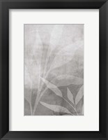 Framed Leafy Parts No. 2