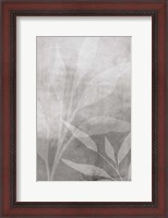 Framed Leafy Parts No. 2
