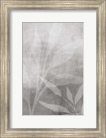 Framed Leafy Parts No. 2