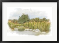 Framed Marshy Wetlands I