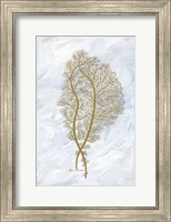 Framed Feathery Sea Fern II