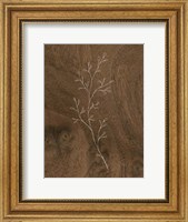Framed Wispy Wood II