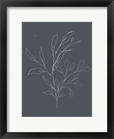 Soft Bouquet I Framed Print