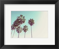 Framed Palms Against The Evening Sky