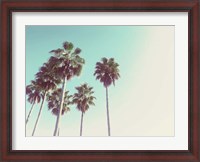 Framed Palms Against The Evening Sky