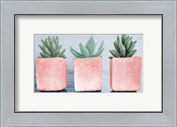 Framed Pink Potted Succulents