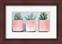 Framed Pink Potted Succulents