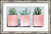 Framed Pink Potted Succulents