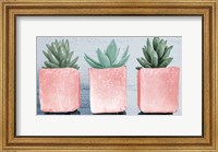 Framed Pink Potted Succulents