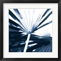 Framed 'Among Blue Palms I' border=