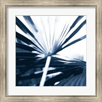 Framed Among Blue Palms I