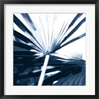 Framed Among Blue Palms I