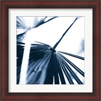 Framed 'Among Blue Palms II' border=