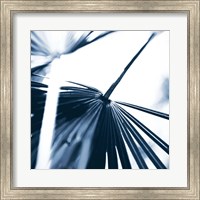 Framed Among Blue Palms II