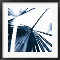 Framed Among Blue Palms II