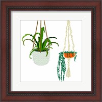Framed Hanging Plant Duo