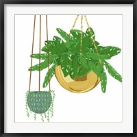 Framed Hanging Plant Set