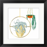 Hanging Plant Set III Framed Print