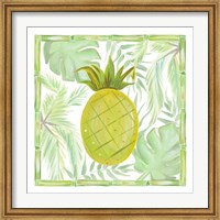 Framed Tropical Pineapple I