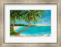 Framed Palm Cove