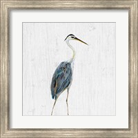 Framed Heron on Whitewash II