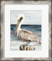 Framed Muted Perched Pelican