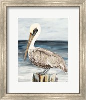 Framed Muted Perched Pelican