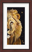 Framed Lion Half Face