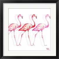 Framed 'Flamingo Trio I' border=