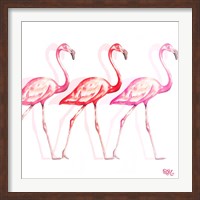Framed Flamingo Trio I
