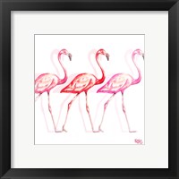 Framed 'Flamingo Trio I' border=