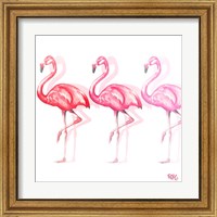 Framed 'Flamingo Trio II' border=