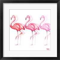 Framed 'Flamingo Trio II' border=