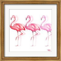 Framed Flamingo Trio II