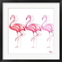 Framed Flamingo Trio II
