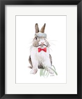Modern Bunny III Framed Print