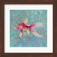 Framed Fish On Coral II