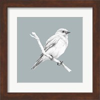 Framed Bird Study on Blue I