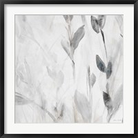 Framed Gray Misty Leaves Square II