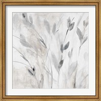 Framed Gray Misty Leaves Square I