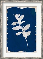 Framed White Leaf on Navy II