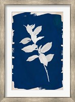 Framed White Leaf on Navy II